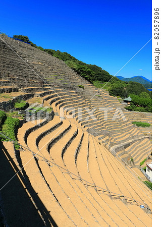 【愛媛県】快晴下の遊子段々畑 82057896