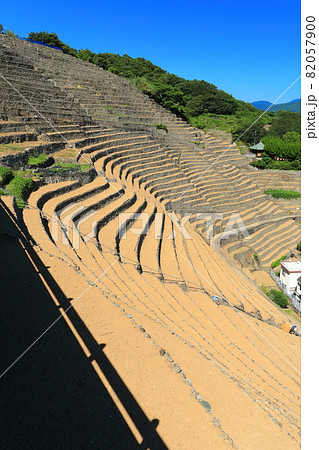 【愛媛県】快晴下の遊子段々畑 【愛媛県】快晴下の遊子段々畑 82057900