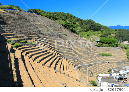 【愛媛県】快晴下の遊子段々畑 82057904