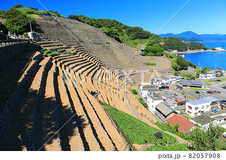 【愛媛県】快晴下の遊子段々畑 【愛媛県】快晴下の遊子段々畑 82057908