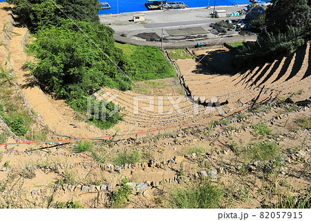 【愛媛県】快晴下の遊子段々畑 82057915