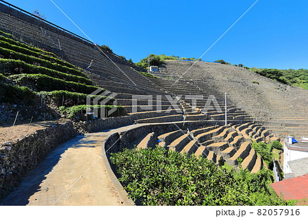 【愛媛県】快晴下の遊子段々畑 【愛媛県】快晴下の遊子段々畑 82057916