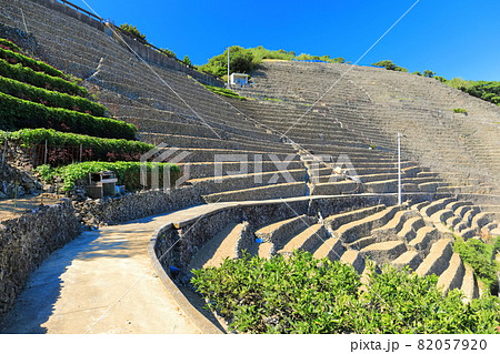 【愛媛県】快晴下の遊子段々畑 82057920