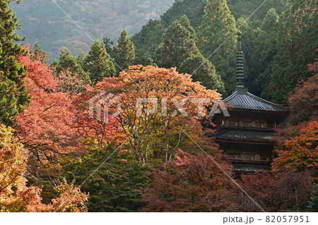 高源寺の紅葉 高源寺の紅葉 82057951