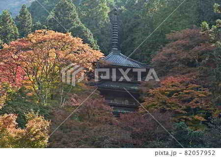 高源寺の紅葉 高源寺の紅葉 82057952