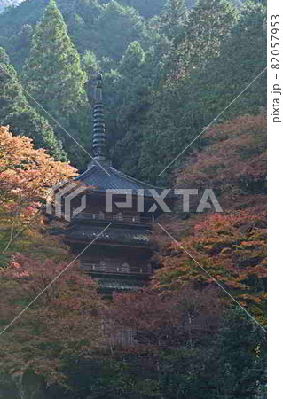 高源寺の紅葉 高源寺の紅葉 82057953