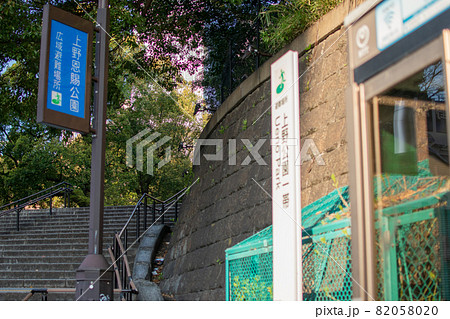 上野公園周辺／東京都台東区上野 82058020