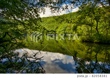 夏の終わりの青森県八甲田の蔦沼の風景 82058381