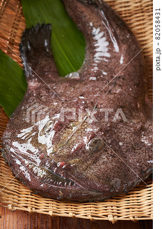 Anglerfish from Ibaraki prefecture - Stock Photo [82058431] - PIXTA