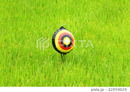 目玉風船 82059029