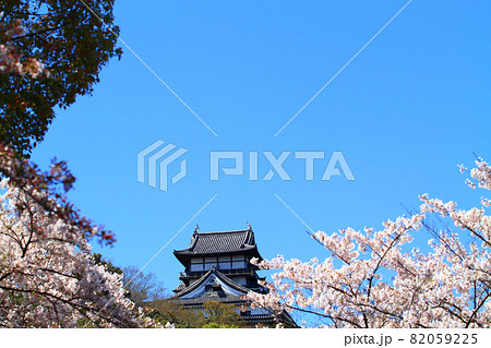 春の犬山市、犬山城と桜の風景 春の犬山市、犬山城と桜の風景 82059225