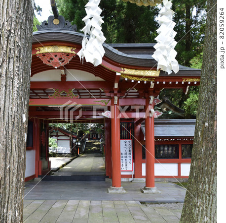 霧島東神社 御神木・神門 82059264