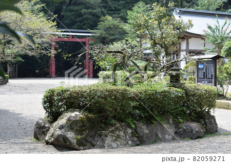 霧島東神社 大鳥居 82059271