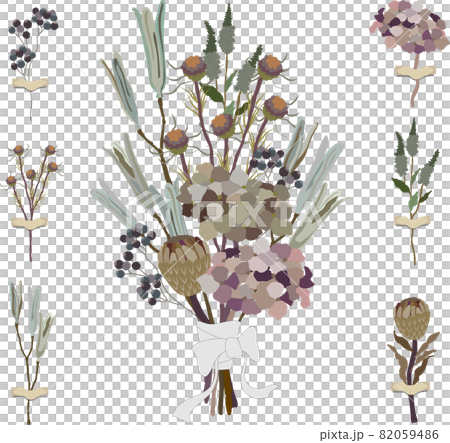 乾花、花束、繡球花 乾花、花束、繡球花 82059486