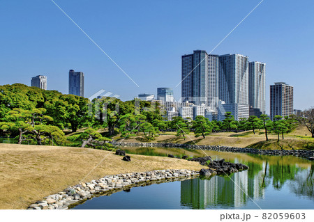 東京都　浜離宮恩賜庭園　横堀の景色 82059603