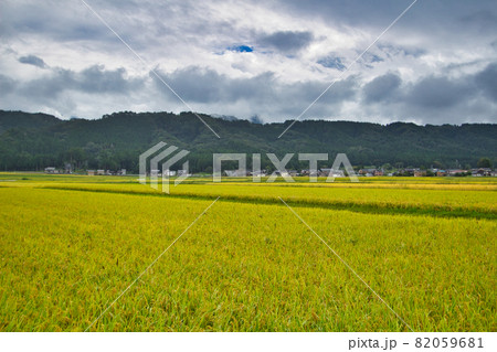 雲迫る小雨の里山 富山県朝日町山崎地区の九月 雲迫る小雨の里山 富山県朝日町山崎地区の九月 82059681