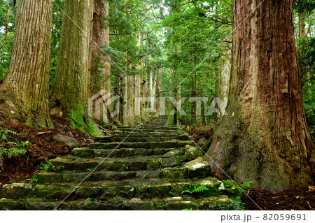 熊野古道　大門坂　【和歌山県東牟婁郡那智勝浦町】 82059691