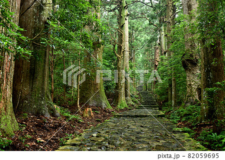 熊野古道　大門坂　【和歌山県東牟婁郡那智勝浦町】 82059695