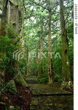 熊野古道 大門坂 【和歌山県東牟婁郡那智勝浦町】 熊野古道 大門坂 【和歌山県東牟婁郡那智勝浦町】 82059697