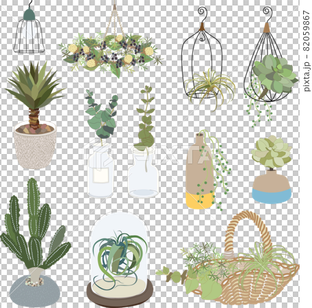 多肉植物和綠色內飾 82059867