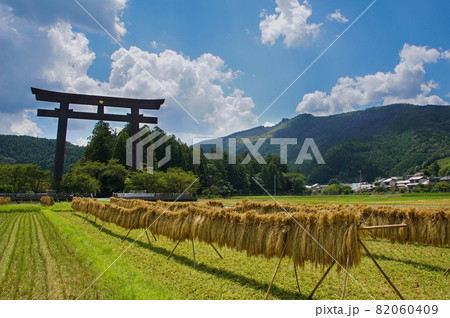 秋の大斎原　熊野本宮大社　和歌山県田辺市本宮町 82060409