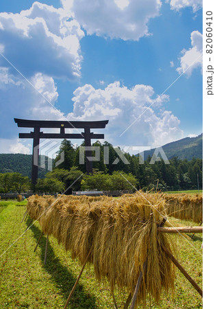 秋の大斎原　熊野本宮大社　和歌山県田辺市本宮町 82060410