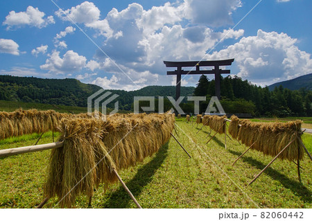 秋の大斎原の光景　熊野本宮大社　和歌山県田辺市本宮町 82060442