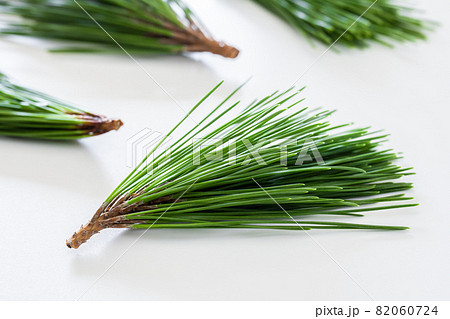 松葉　白背景素材 82060724