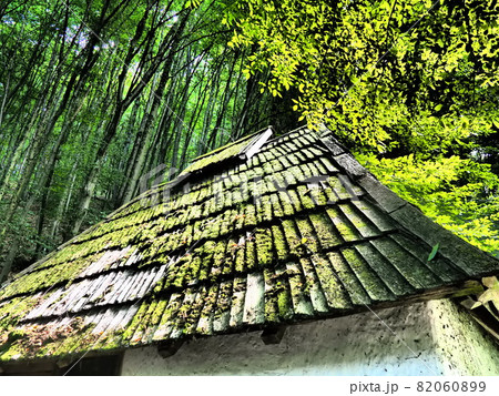 Bright green of mossy tiled roof in rural Serbia. Serbia, Loznica, Trsic, Vuk Karadzic's place of life, Tronos Monastery. Trees over the roof Bright green of mossy tiled roof in rural Serbia. Serbia, Loznica, Trsic, Vuk Karadzic's place of life, Tronos Monastery. Trees over the roof 82060899