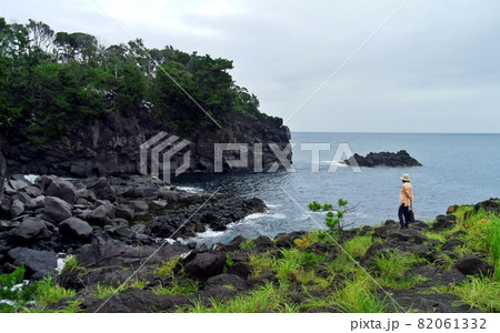 大海原　城ヶ崎海岸　景勝地　絶景　水平線 82061332