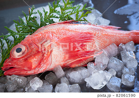 鮮魚キンキ 82061590