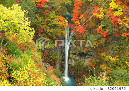 栃木県那須郡那須町 紅葉の駒止の滝 栃木県那須郡那須町 紅葉の駒止の滝 82061976