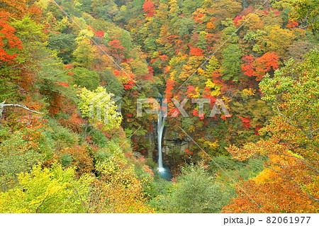 栃木県那須郡那須町 紅葉の駒止の滝 栃木県那須郡那須町 紅葉の駒止の滝 82061977