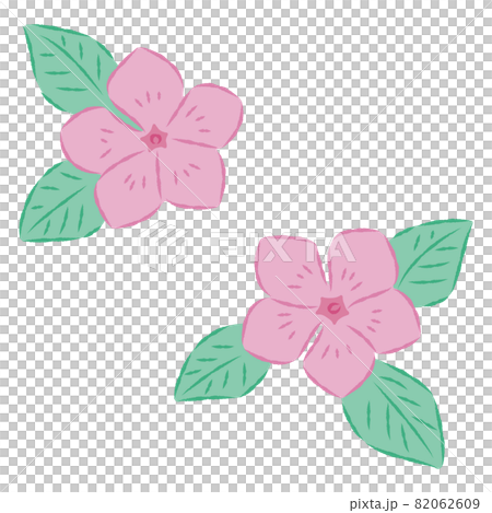 Illustration of daily grass Illustration of daily grass 82062609