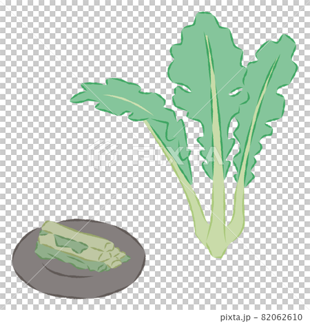 野澤菜的插圖 82062610