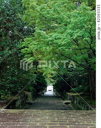 禅寺の参道 82063335