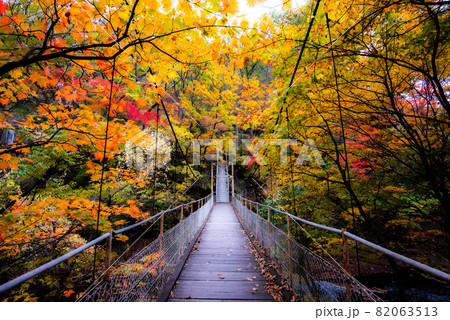 秋色に染まる 花巻温泉郷 秋色に染まる 花巻温泉郷 82063513