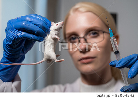 A young woman scientist is holding a mouse and a syringe with a special drug in her hands. Testing a new drug in rats. Science and medicine. 82064542