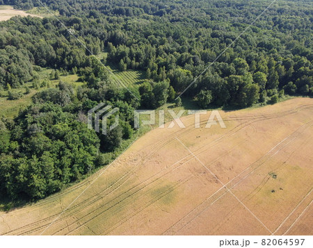 A large farm field near a green forest, aerial view. Scenery. 82064597