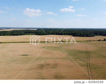 Breathtaking top view of agricultural area and cultivated fields in sunny day. Location place of Ukraine, Europe. Drone photography. Concept of agrarian industry. 82064599