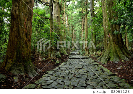 熊野古道　大門坂　【和歌山県東牟婁郡那智勝浦町】 82065128