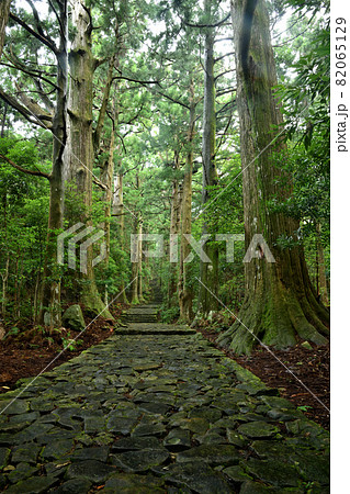 熊野古道　大門坂　【和歌山県東牟婁郡那智勝浦町】 82065129