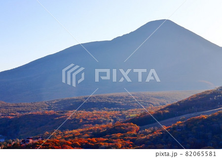 秋深まる蓼科山麓 秋深まる蓼科山麓 82065581