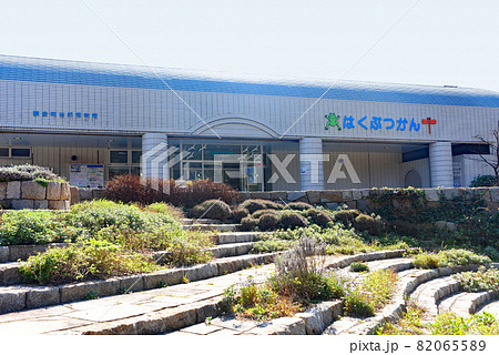 観音崎自然博物館 観音崎自然博物館 82065589