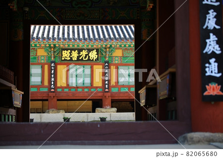 女性 女 女の子 82065680