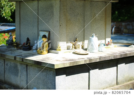 花 女性 女 82065704