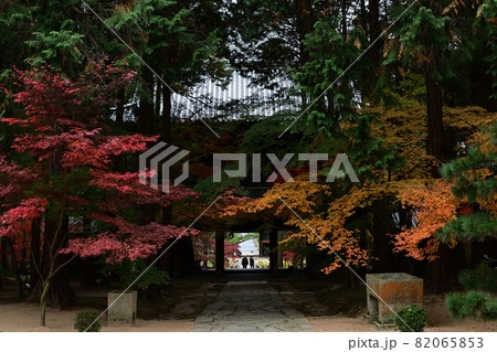 赤く色づき、見頃を迎えた曹源寺の紅葉 82065853