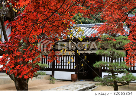 赤く色づき、見頃を迎えた曹源寺の紅葉 赤く色づき、見頃を迎えた曹源寺の紅葉 82065854