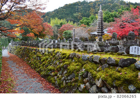 晩秋に京都市奥嵯峨野のあだし野念仏寺が静かで美しい 82066265