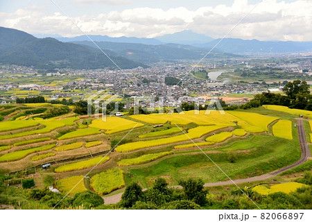 2021年 秋の姨捨棚田 2021年 秋の姨捨棚田 82066897